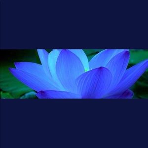 Meet your Posher, Shania